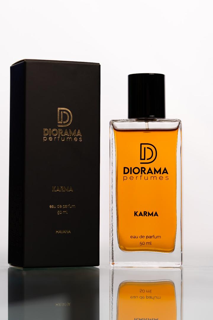 Dirorama Karma4