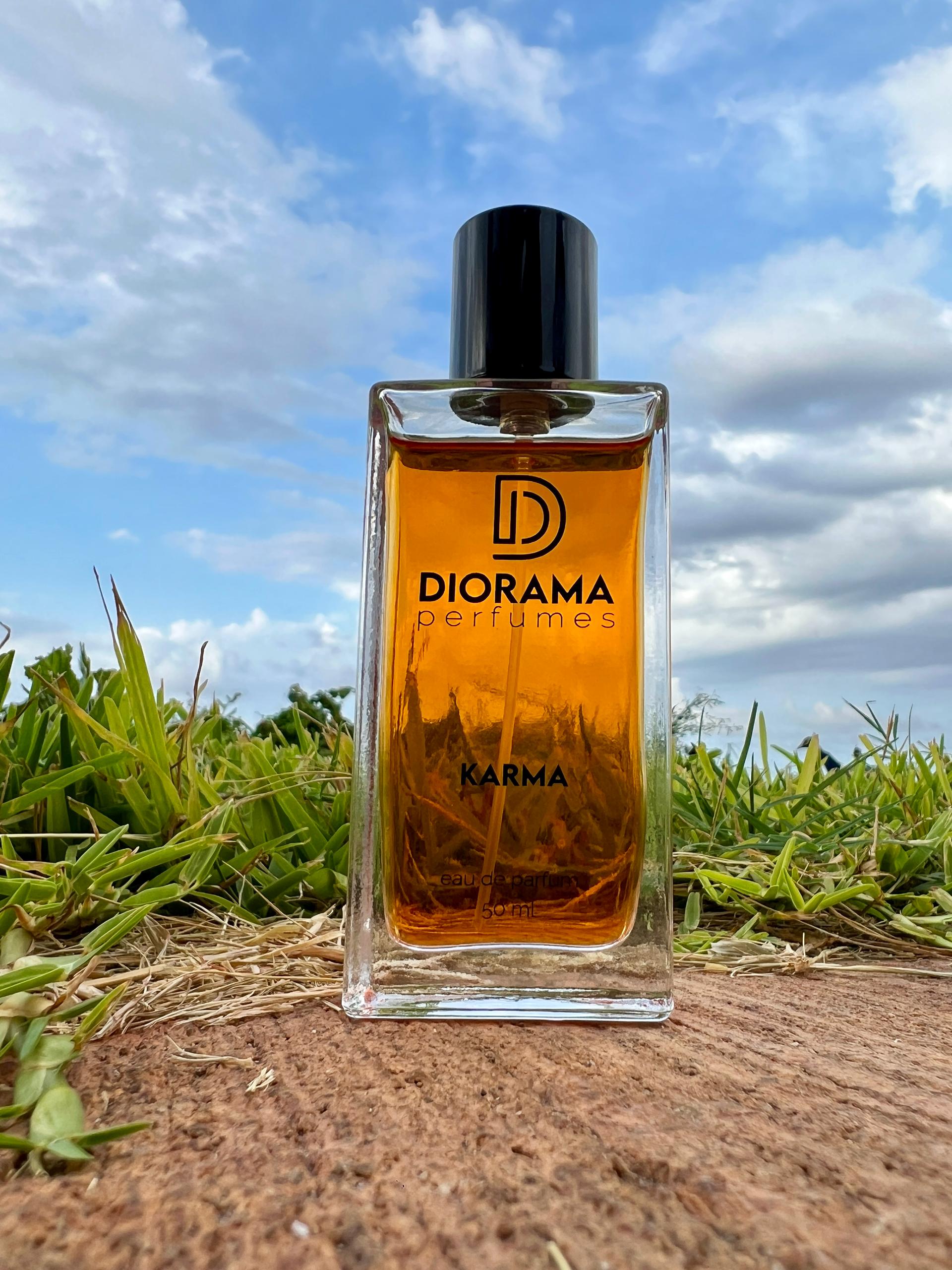 Dirorama Karma6